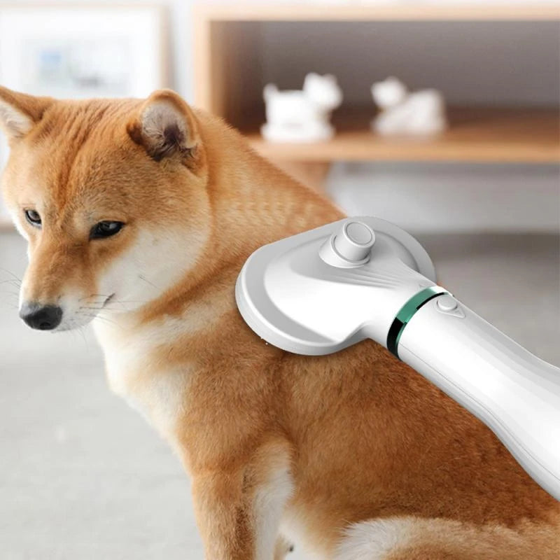 Cepillo secador para mascota