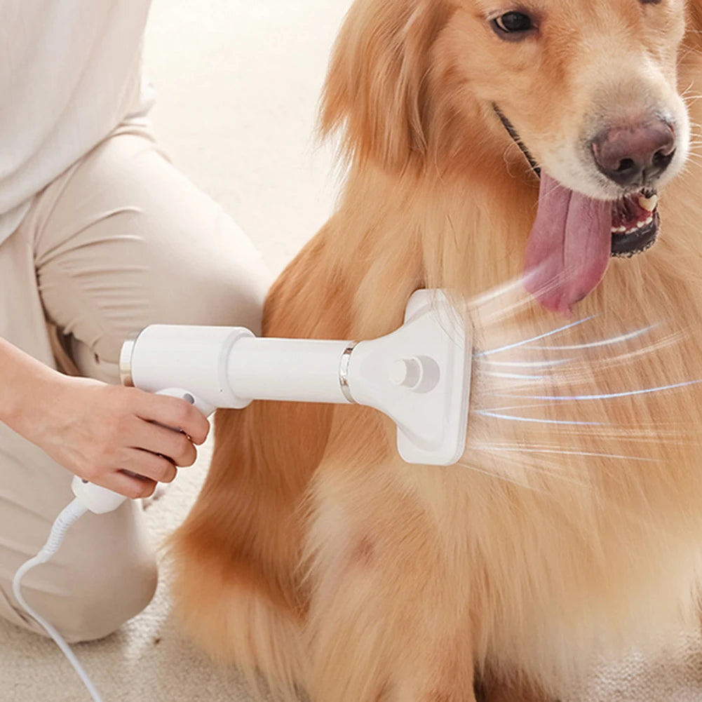 Cepillo secador para mascota